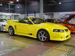Mustang GT     1024x768 mustang, gt, , ford