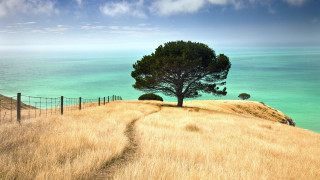     668648 (a):bonya58 :1920x1080