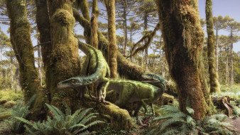 Dinosaur     1920x1080 dinosaur, 3, , animals, , , , , 
