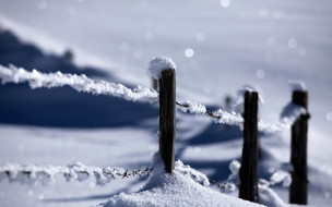 Winter     1680x1050 winter, , , , , , , 