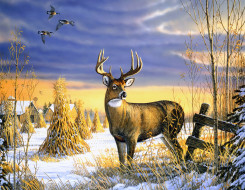 Country Afternoon     1930x1500 country, afternoon, , sam, timm, , , , , 