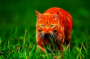 3, , animals, , , , , cat