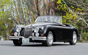 Jaguar     1920x1200 jaguar, , , , , , 