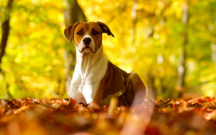     673692 (a): :2560x1600