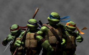       1920x1200 , , , tmnt, , teenage, mutant, ninja, turtles