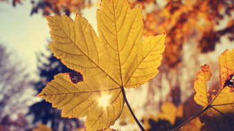     674019 (a): :1920x1080