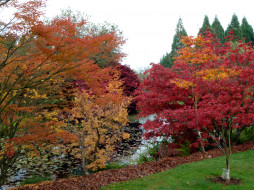 VanDusen Botanical Garden, Vancouver       2000x1500 vandusen, botanical, garden, vancouver, , , , , , 
