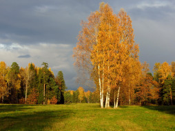     676065 (a):svetik01 :1920x1440