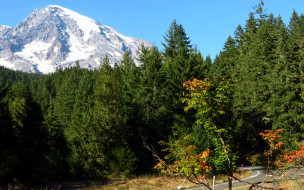 , Mount Rainier National Park,     1920x1200 , mount, rainier, national, park, , , 