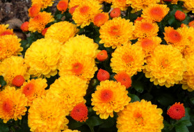     677512 (a):ARWENN :2048x1397