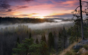Noux National Park, Finland     2880x1800 