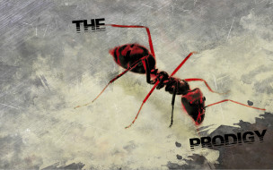 The Prodigy     1920x1200 the, prodigy, , , 