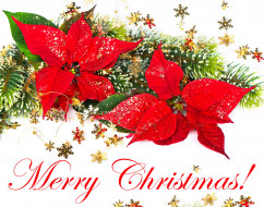 Merry Christmas     4733x3725 merry, christmas, , , , , , , 