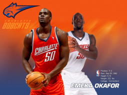 Emeka Okafor     1600x1200 emeka, okafor, , nba, , 