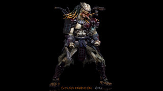 Predator     1920x1080 predator, , , , , , 