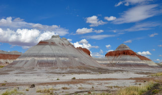 Petrified Forest National Park     4288x2536 petrified, forest, national, park, , , , , 