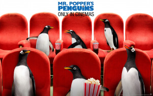 Mr Poppers Penguins     1900x1200 mr, poppers, penguins, , , popper`s, , , 