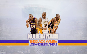 Kobe Bryant 2012 обои для рабочего стола 1920x1200 kobe, bryant, 2012, спорт, nba, звезда, нба, баскетбол