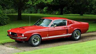 Mustang     2048x1152 mustang, , , , , 