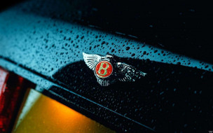 Bentley     1680x1050 bentley, , , , , 
