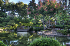 Earl Burns Miller Japanese Garden, California USA     3260x2165 earl, burns, miller, japanese, garden, california, usa, , , 