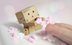 , , danboard