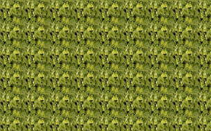     693611 (a): :1920x1200