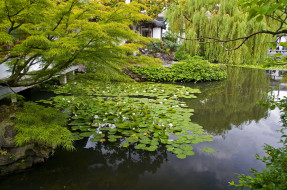    Sun Yat-Sen Garden, Vancouver     3264x2167 , sun, yat, sen, garden, vancouver, , , , 