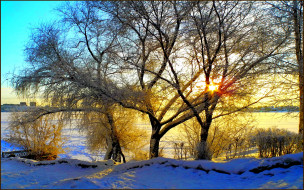 Winter Morning     2048x1280 winter, morning, , , , , , 