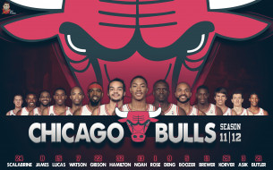 Chicago Bulls 2011-2013     2362x1476 chicago, bulls, 2011, 2013, , nba, daffon, arzumanov, rose
