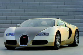2009 Bugatti Veyron Centenaire     2972x1981 2009, bugatti, veyron, centenaire, 