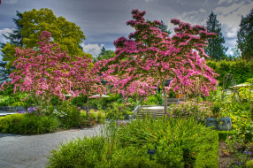 VanDusen Botanical Garden, Vancouver       2592x1722 vandusen, botanical, garden, vancouver, , , , , 