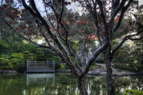 Earl Burns Miller Japanese Garden, California USA     3264x2167 earl, burns, miller, japanese, garden, california, usa, , , , , 