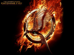 The Hunger Games: Catching Fire     1920x1440 the, hunger, games, catching, fire, , , , , 2