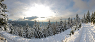 природа, зима, germany, германия, панорама, снег, лес, ели, дорога