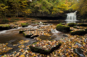 cauldron, falls, england, природа, водопады, англия, река, осень, листья, камни, лес, деревья
