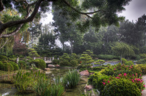 Earl Burns Miller Japanese Garden, California USA     3072x2039 earl, burns, miller, japanese, garden, california, usa, , , , , 