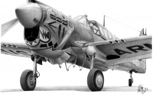 Curtiss P-40 Warhawk     2560x1599 curtiss, 40, warhawk, , 3, , graphic, , , 