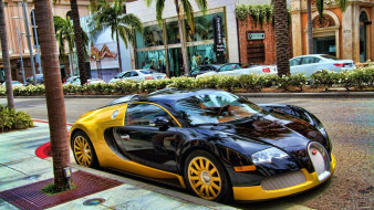 Bugatti veyron     2560x1440 bugatti, veyron, , , , , automobiles, s, a, , -, 
