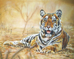 Andy Lloyd - Indian Tiger     2560x2037 andy, lloyd, indian, tiger, , 