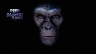      1920x1080 , , rise, of, the, planet, apes, 
