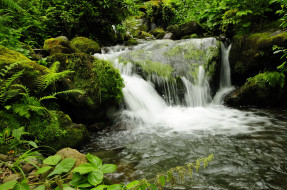 Waterfall in Mtirala National Park ,      3456x2295 waterfall, in, mtirala, national, park, , , , , , 