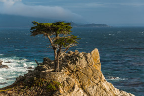 Lone Cypress, Monterey Peninsula, California     2048x1367 lone, cypress, monterey, peninsula, california, , , pacific, , , , , , 
