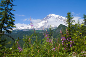 Mount Rainier National Park     2048x1360 mount, rainier, national, park, , , , , -, , , 