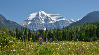Mount Robson, British Columbia, Canada     2847x1600 mount, robson, british, columbia, canada, , , , , , , , , , 