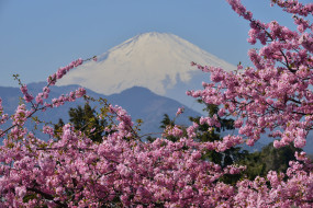 Mount Fuji, Japan     2048x1367 mount, fuji, japan, , , , , , 