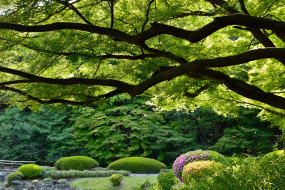 Shinjuku Gyoen National Garden, Tokyo, Japan     2048x1367 shinjuku, gyoen, national, garden, tokyo, japan, , , , , , 