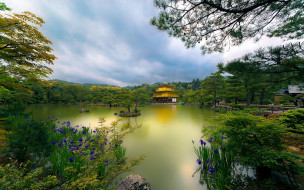 Golden Pavilion, Kyoto, Japan     2560x1603 golden, pavilion, kyoto, japan, , , , , temple, , , , , , , , , 