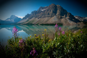 Bow Lake, Alberta, Canada     2048x1371 bow, lake, alberta, canada, , , crowfoot, mountain, banff, national, park, , , , , , 