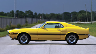 Mustang     2048x1152 mustang, , ford, motor, company, 